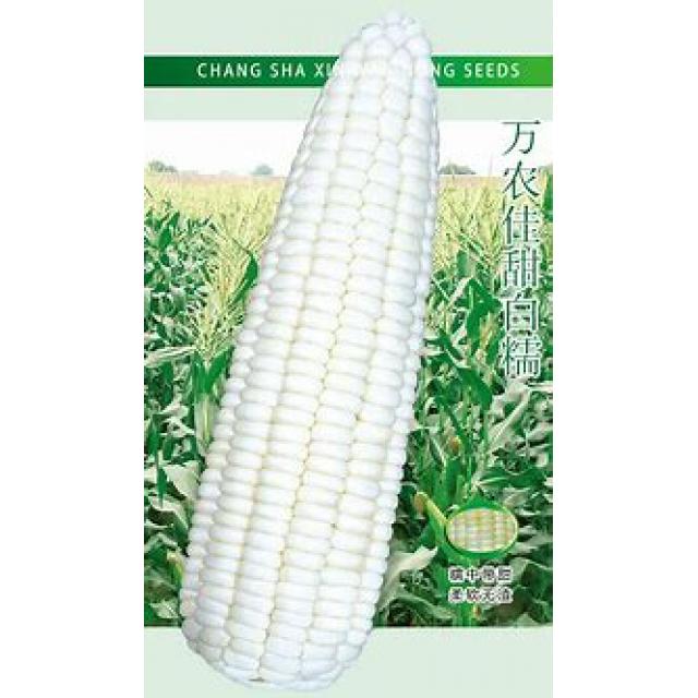 东北龙嫂白甜糯玉米220g
